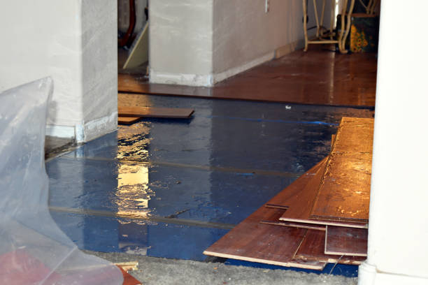 Professional Burst Pipe Cleanup technician working in Mattoon, IL